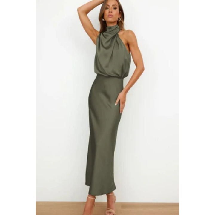 Kiara | Chic Turtle Neck Midi Dress For Women