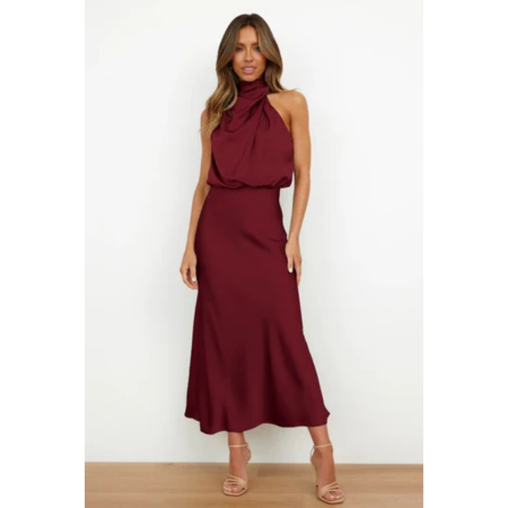 Kiara | Chic Turtle Neck Midi Dress For Women