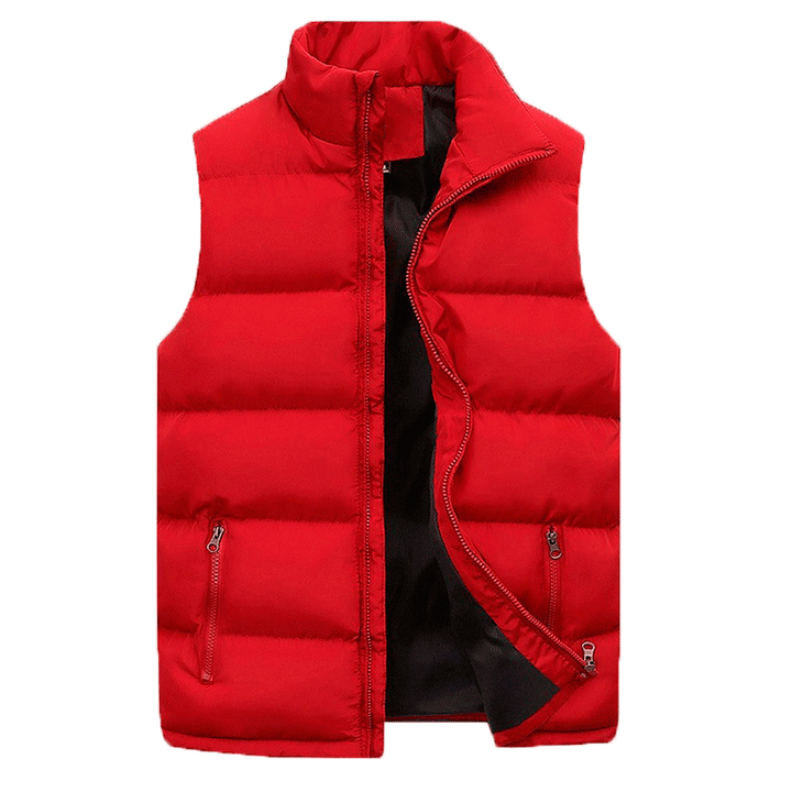 Delpho | Zipper Sleeveless Puffer Vest For Men